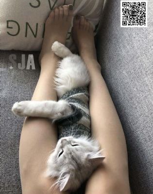 敌营十八年第三部40集免费观看