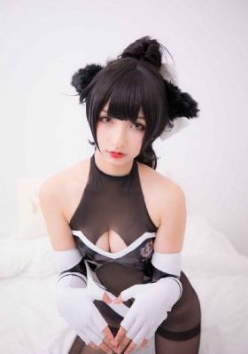 疯狂动物城中文版