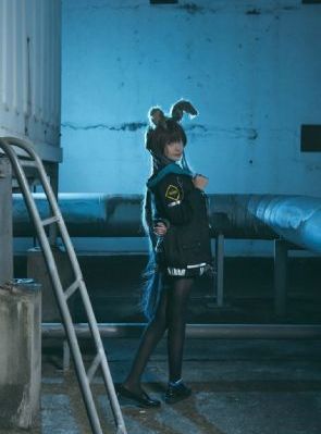 马里布鲨鱼攻击